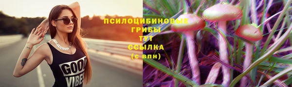 амф Михайловск