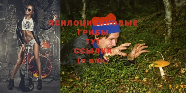героин Михайлов