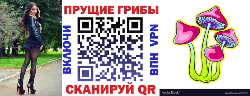 Галлюциногенные грибы Cubensis  Купить  Курчатов 