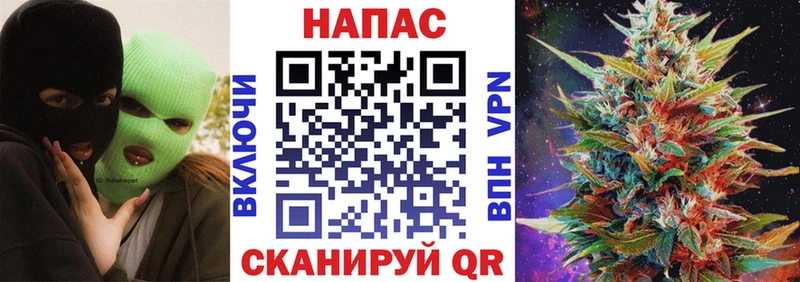 Конопля сатива  Купить закладки  Курчатов 
